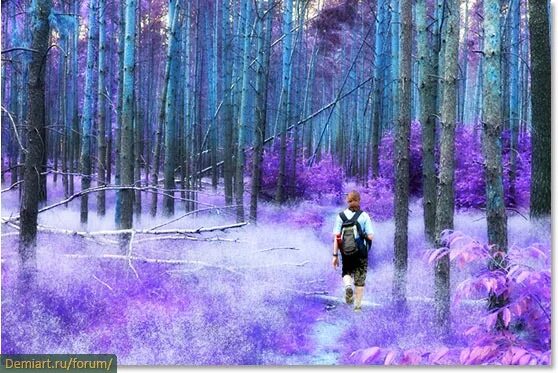 Таблица инверсии цветов. Перевернутые тюльпаны. Инверсия цвета. Картинки с инверсией цвета. Инвертированными цветами.