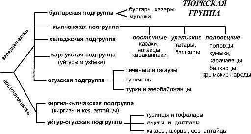 К тюркской группе алтайской семьи относится. Алтайская языковая семья тюркская группа народы. Классификация тюркских языков схема. Ветви тюркских народов. Ветви тюркских языков.