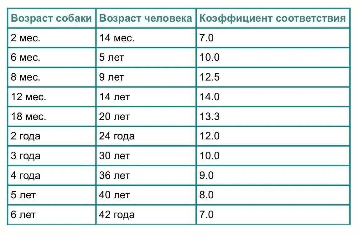 Сколько лет проживет человек по дате. Возраст собак таблица соотношения. таблица жизни собак на человеческий возраст. возраст собаки в человеческих годах таблица. сколько лет собаке на человеческий возраст в 3 месяца.