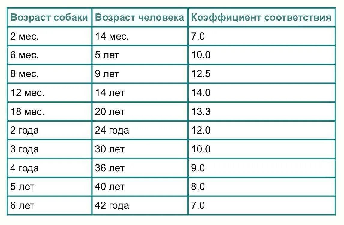 Возраст собак таблица соотношения. Таблица возраста собак по человеческим меркам мелких пород. Таблица жизни собак на человеческий Возраст. Возраст собаки в человеческих годах таблица дворняга. До скольки лет живут половой