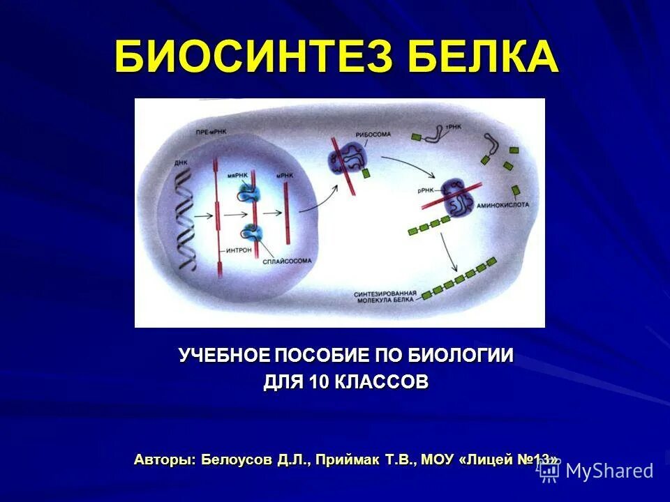 Презентация биосинтез