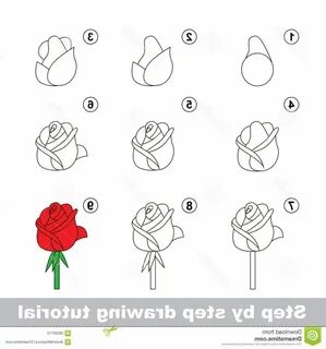 Как быстро нарисовать розу