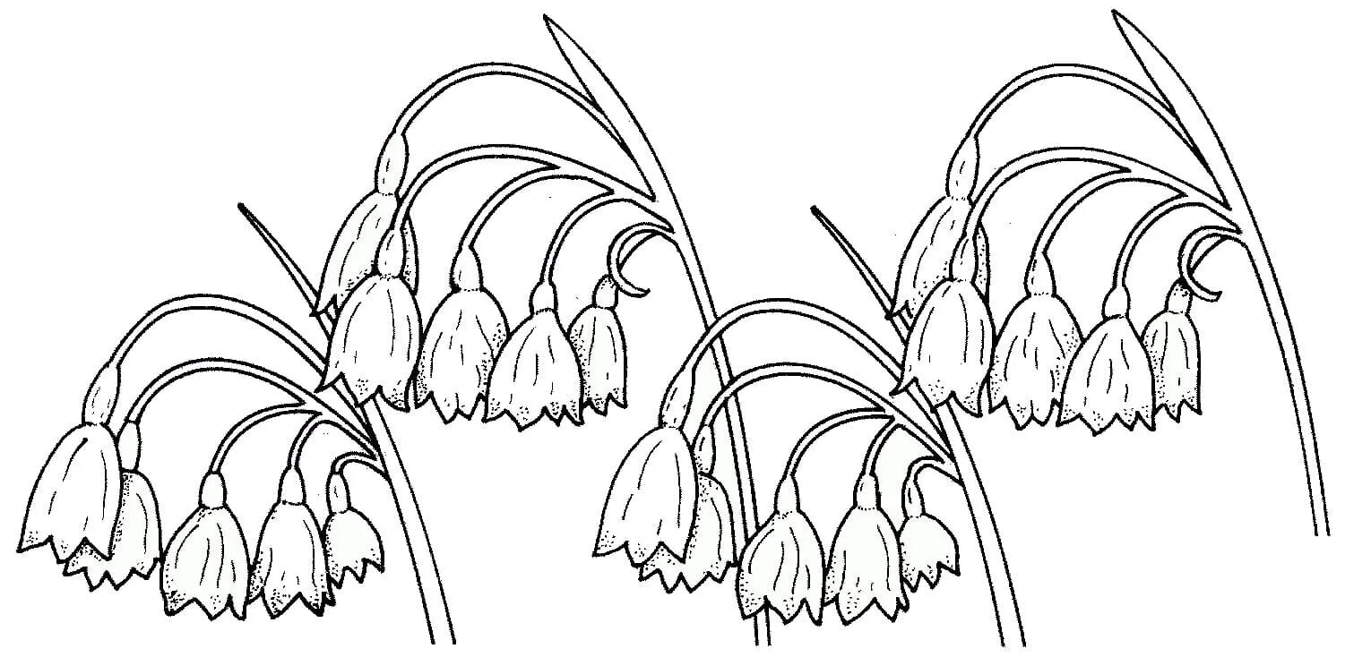Раскраска цветы подснежники. Раскраска колокольчик цветок. Подснежник раскраска для малышей. Подснежники картинки для детей раскраски. Подснежник раскраска распечатать