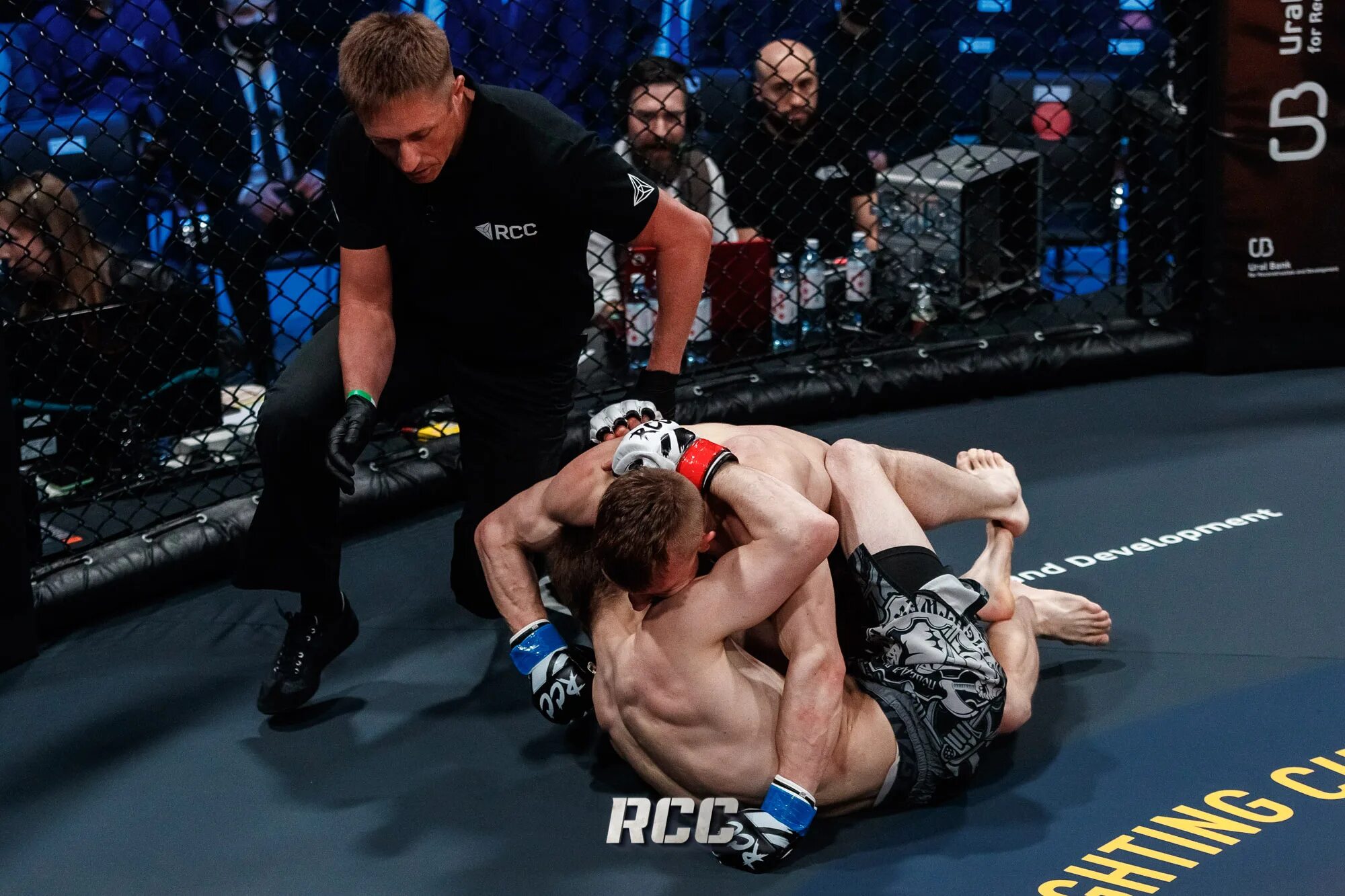 Fight nights 2017 краснодар. смешанные единоборства шлем. смешанные боевые искусства. ближайший турнир смешанных единоборств. соревнования по мма в пензе.