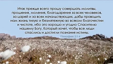 Я по делу пожалуйста разошли молитвенную просьбу