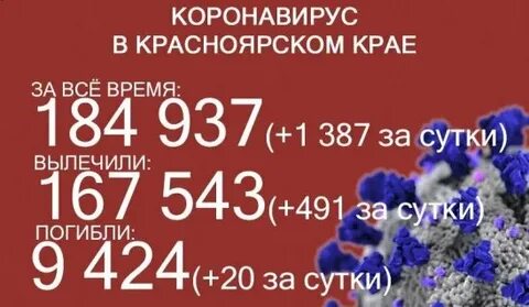Заболеваемость ковидом в сутки