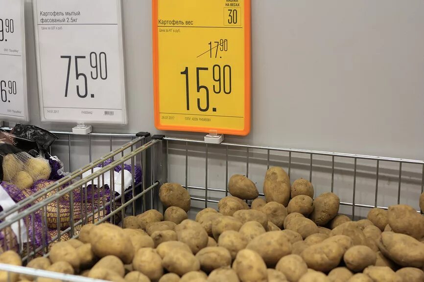 Картофель в магазине. Кг картошки. Картофель ценник. Выкладка картофеля в магазинах.