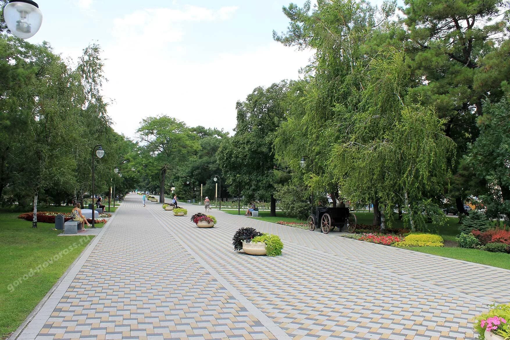 Сквер рыбнева новороссийск где. Парковая аллея Новороссийск. Центральная аллея Новороссийск. Аллея парка Фрунзе Новороссийск. Новороссийск городской парк.