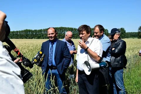 Погода ваганово кемеровская область