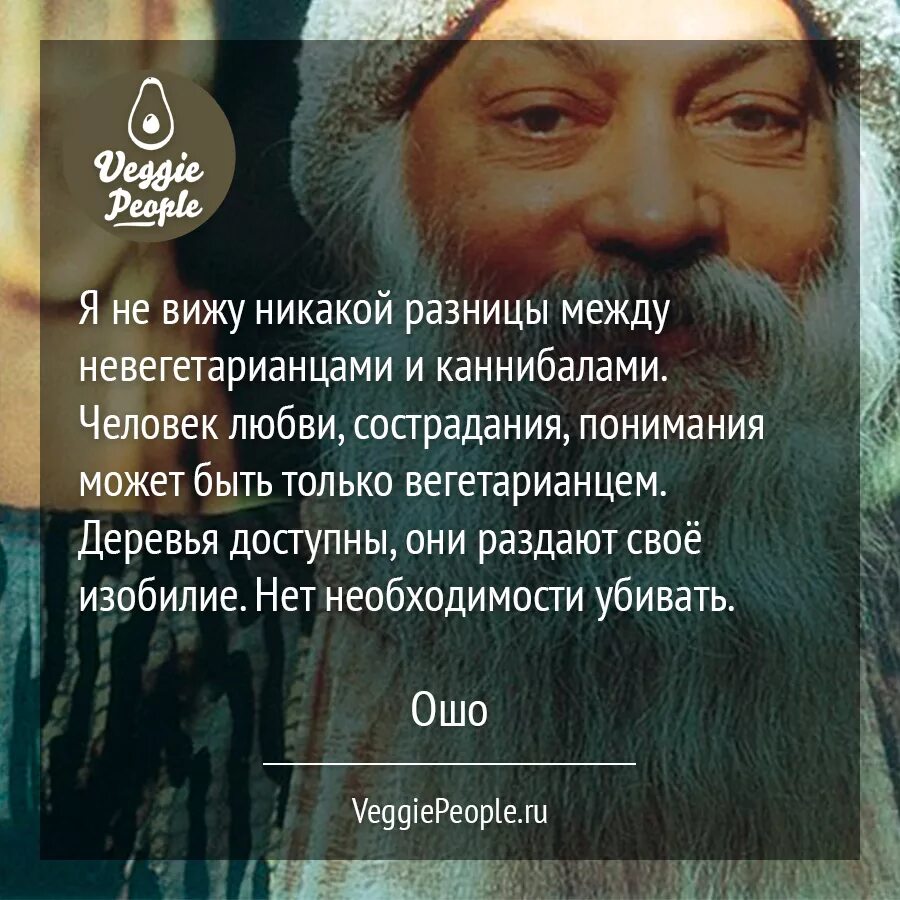 Ошо цитаты. Ошо высказывания о любви. Мудрые высказывания Ошо. Ошо цитаты о любви.