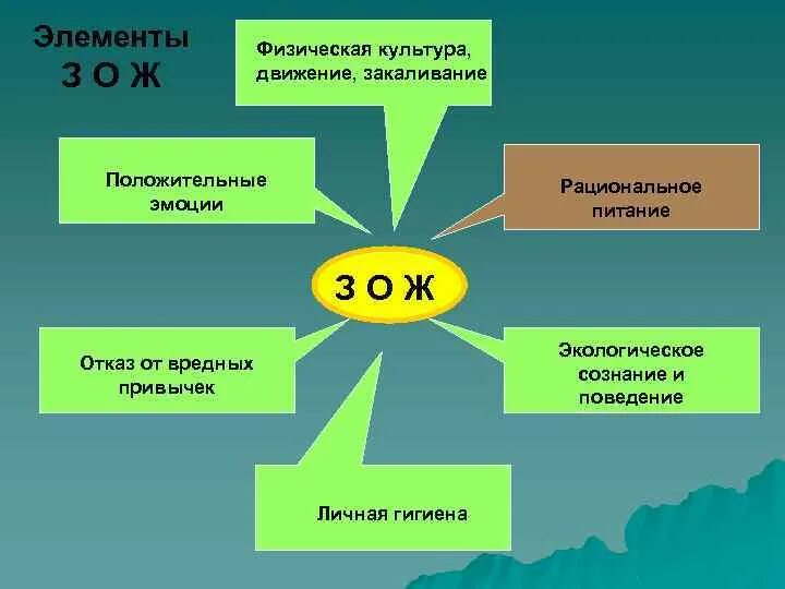 Окружающая среда и здоровый образ жизни. Компоненты здорового образа жизни. Составляющие ЗОЖ. Перечислите элементы ЗОЖ. Перечислите основные элементы ЗОЖ.