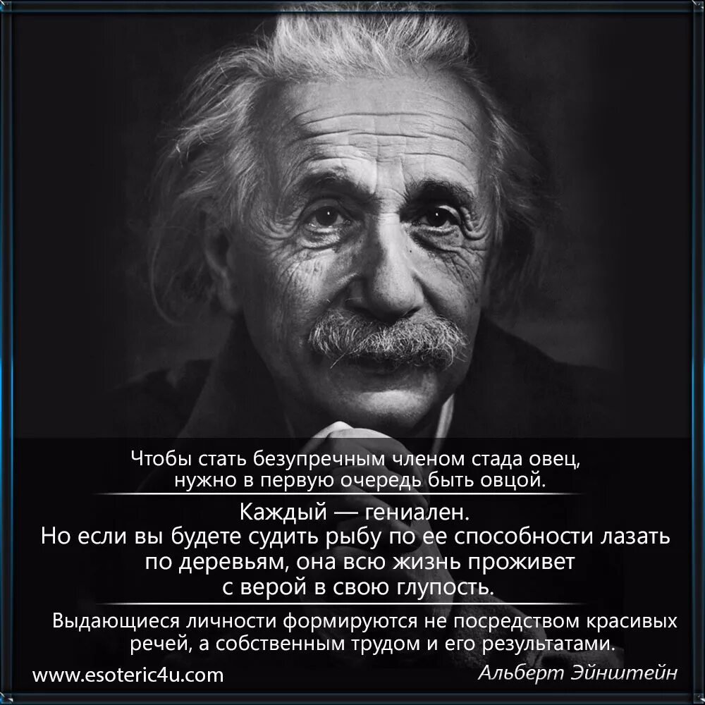 Практика цитаты. Выдающиеся личности эйнштейн. эйнштейн цитаты.