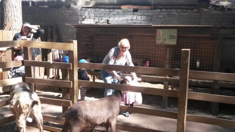 Зоопарк деревня. Деревня в городе Видное зоопарк. Контактный зоопарк в селе. Контактный зоопарк в деревнн. Контактный зоопарк в деревне Давидова.