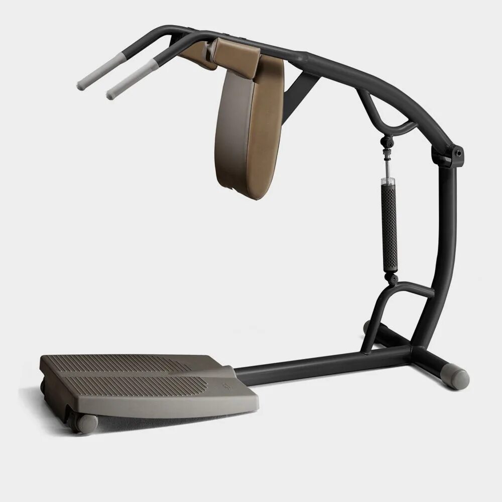 D extension. Тренажеры Техноджим. Dual Adjustable Техноджим. Гак Technogym. Тренажер Гак Техноджим.