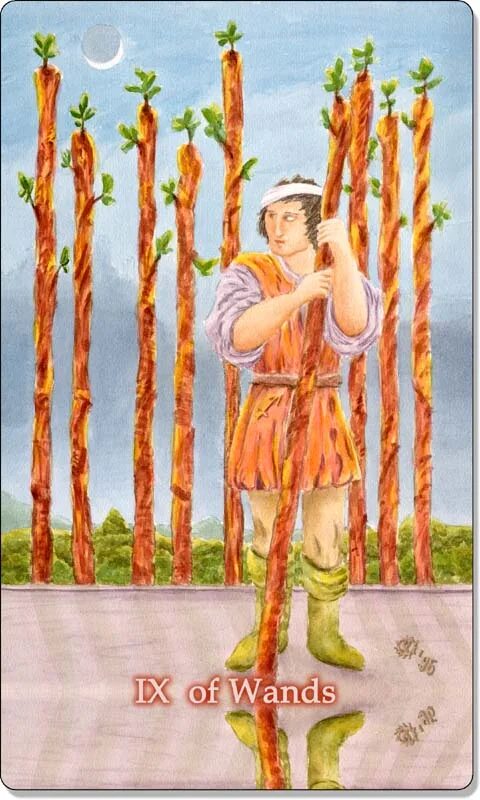Wands таро значение. 9 жезлов таро райдера уэйта. райдер уайт 9 жезлов. девятка жезлов таро райдера уэйта. карта девятка жезлов.