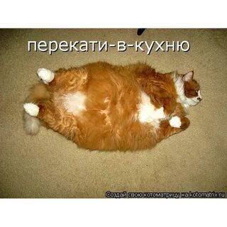 Толще там и