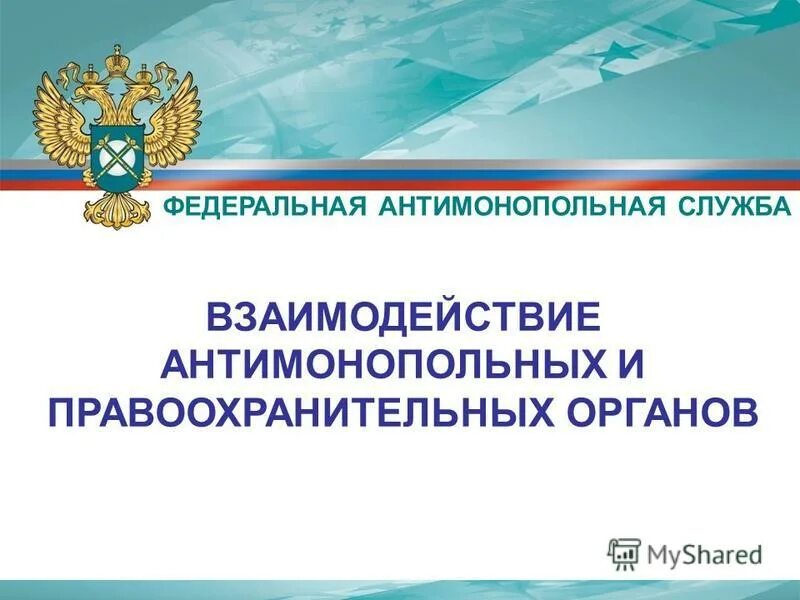 федеральная антимонопольная служба в сфере антимонопольного