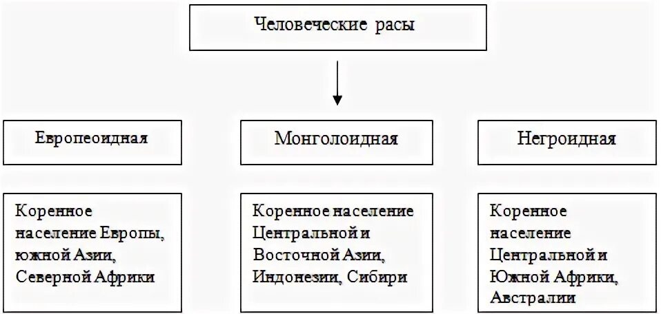 6 человеческие расы. Основные расы схема. Человеческие расы схема. Схема признаки человеческих рас. Схема расы человеческие расы.