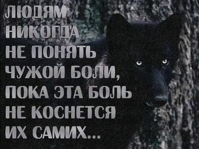 Цитаты про Волков и людей. Цитаты волка. Статусы с волками. Волк с надписью.