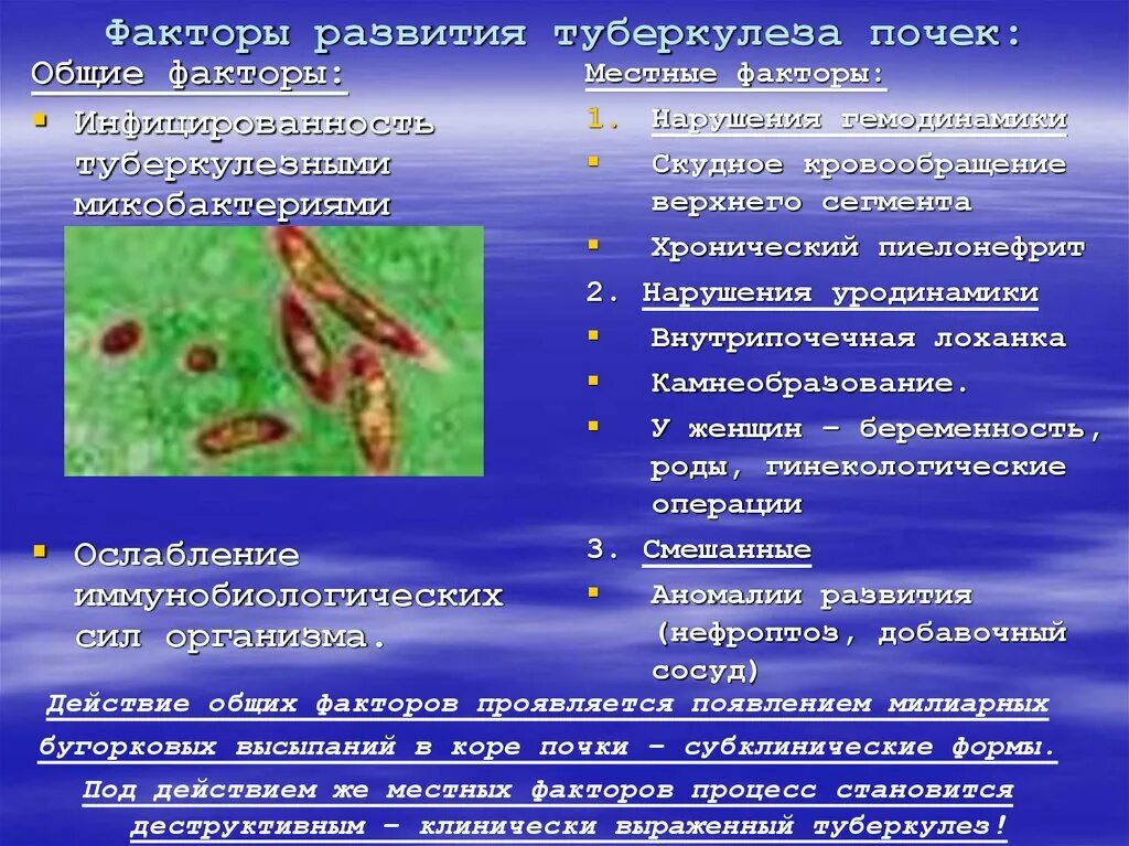 Туберкулез причины возникновения. Паренхиматозный туберкулез почки. Факторы развития туберкулеза. Туберкулез почки исходы. Факторы возникновения туберкулеза.