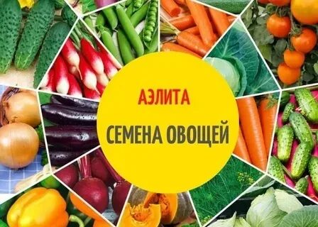 Аэлит семена