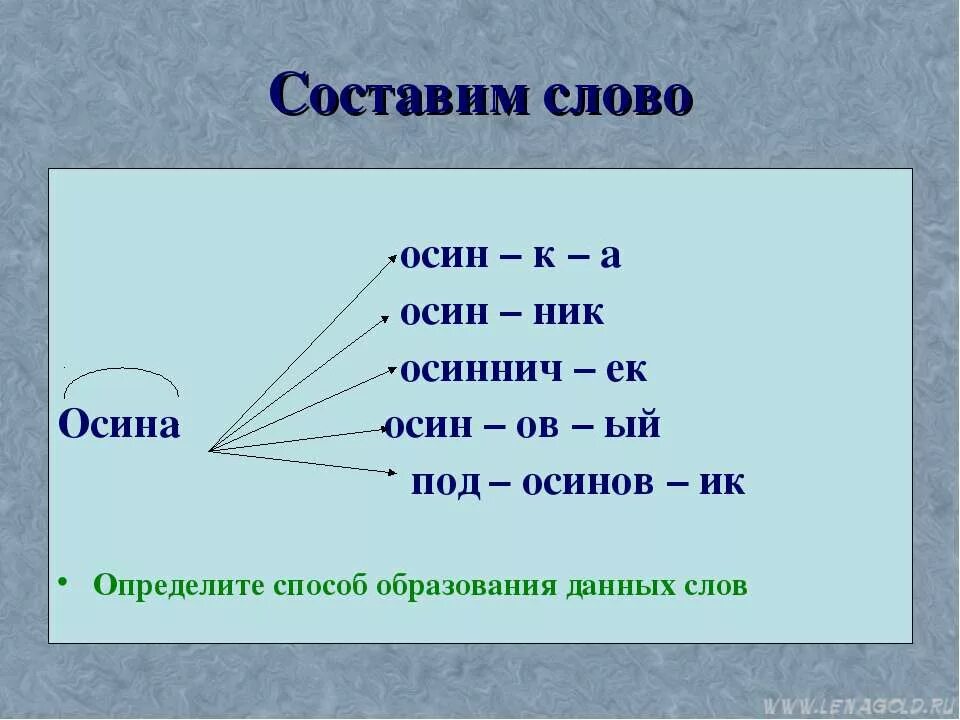 Осина проверочное слово. Осина родственные слова. Однокоренные слова к слову осина. Родственные слова к слову осина.