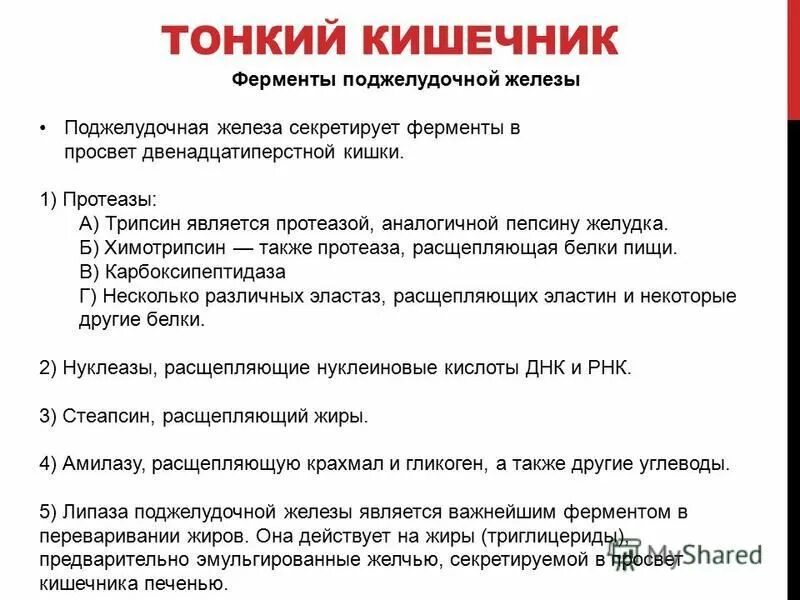 ферменты поджелудочной железы таблица. анализ крови для поджелудочной железы показатели. исследование содержания ферментов поджелудочной железы. ферменты поджелудочной железы анализы какие. ферменты поджелудочной железы таблица.