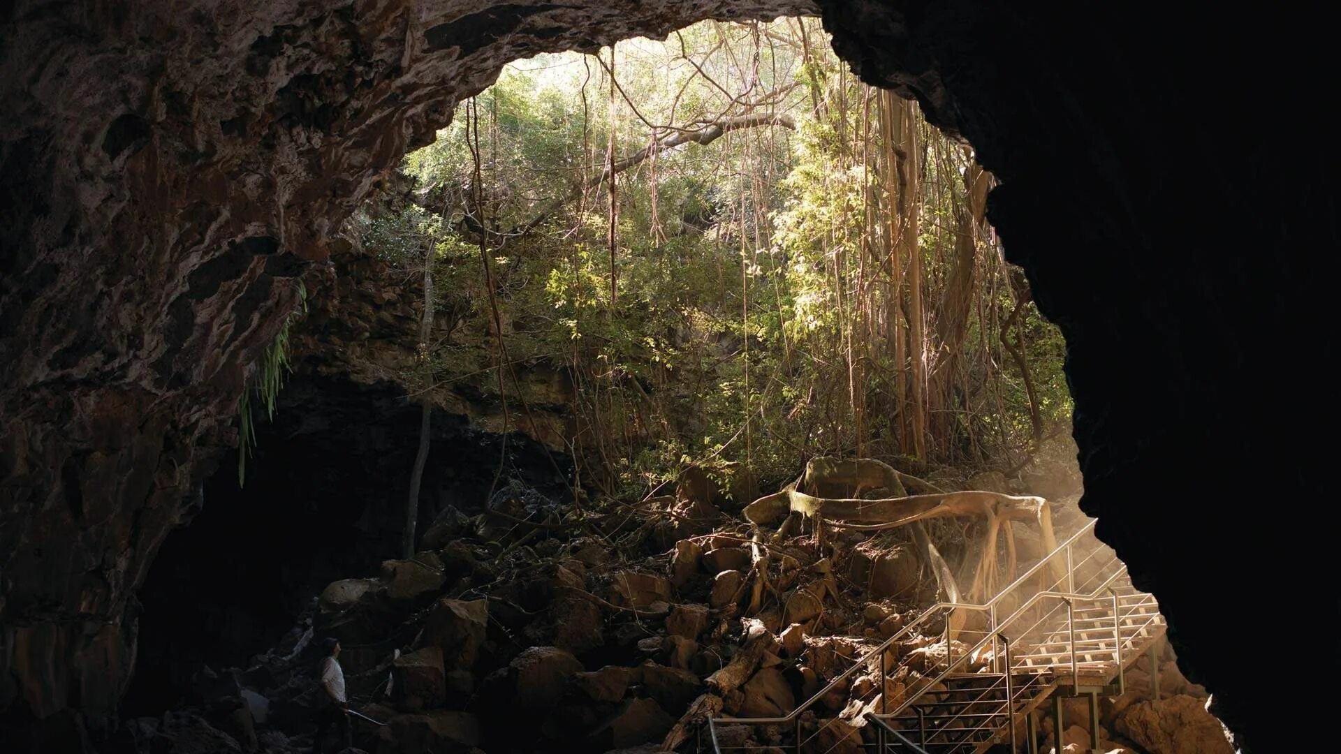 Растения в пещерах. Трава в пещере. Цветок в пещере. Mother nature's Cave. Mother natures cave