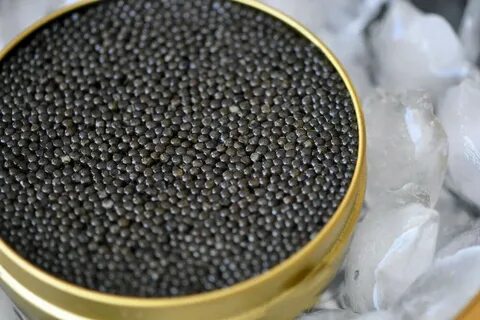 Серая икра рыбы