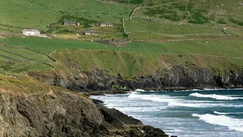 Dingle