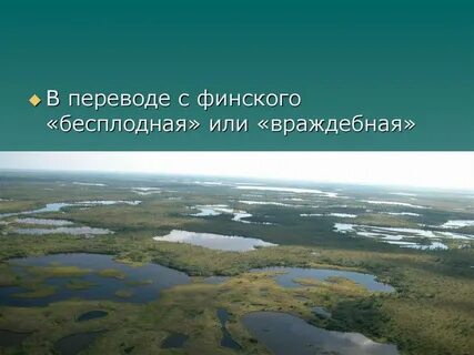 Зона увлажнения тундры