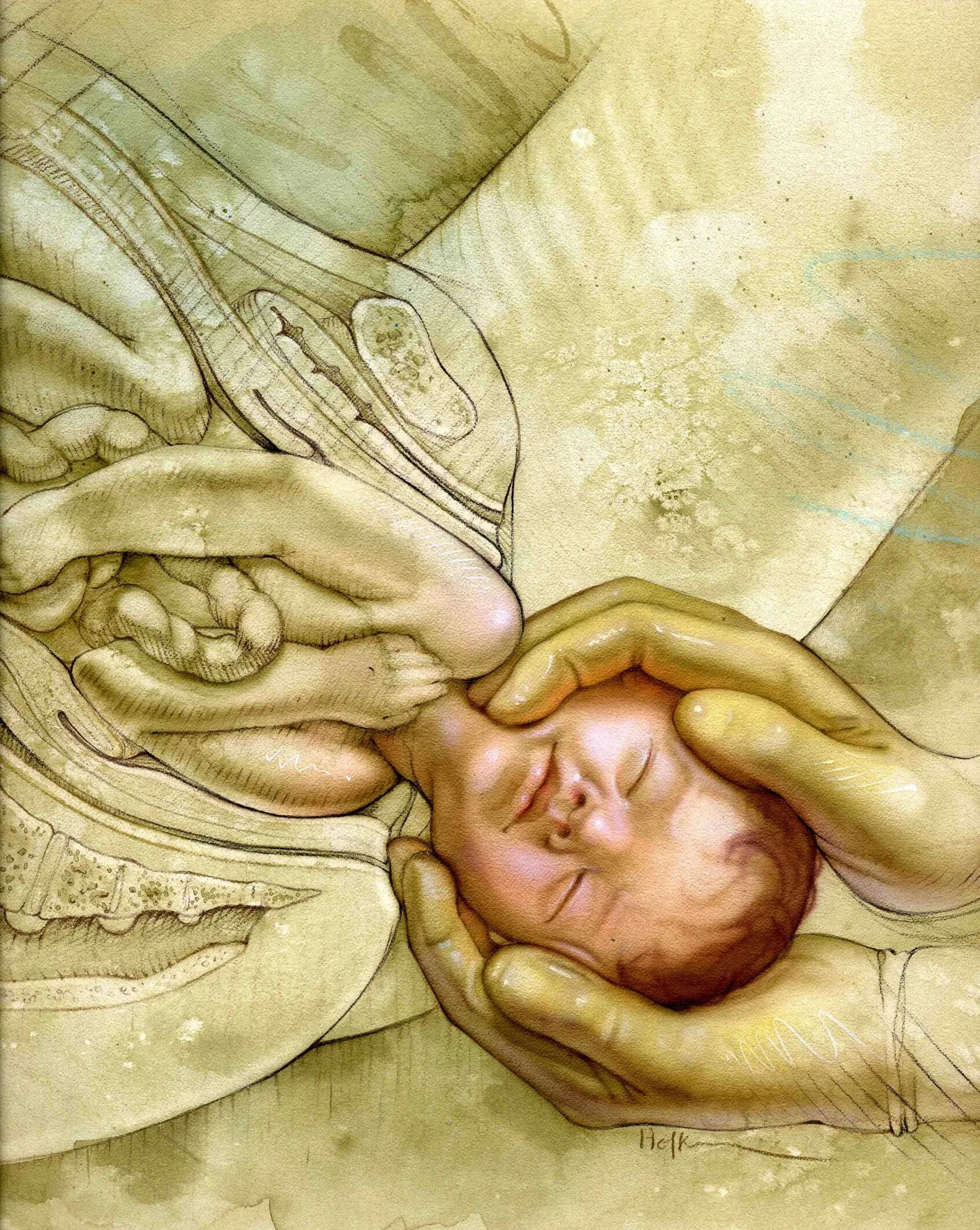 Беременность иллюстрации. Рождение ребенка анатомия. Анатомия беременной женщины.