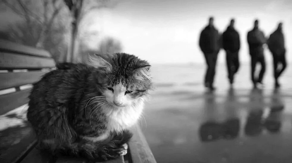 Мимо р