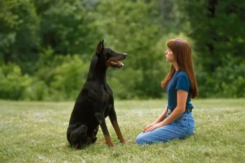 Ludi svijet: "Oralni seks sa psom mi je bolji nego s dečkom! 