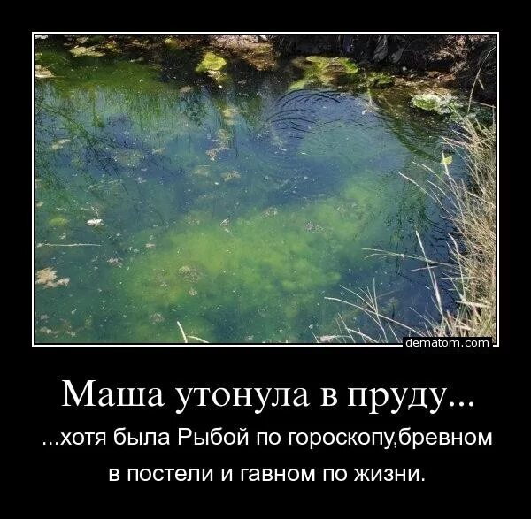 Как не быть бревном в постели. Как не быть бревном в постели