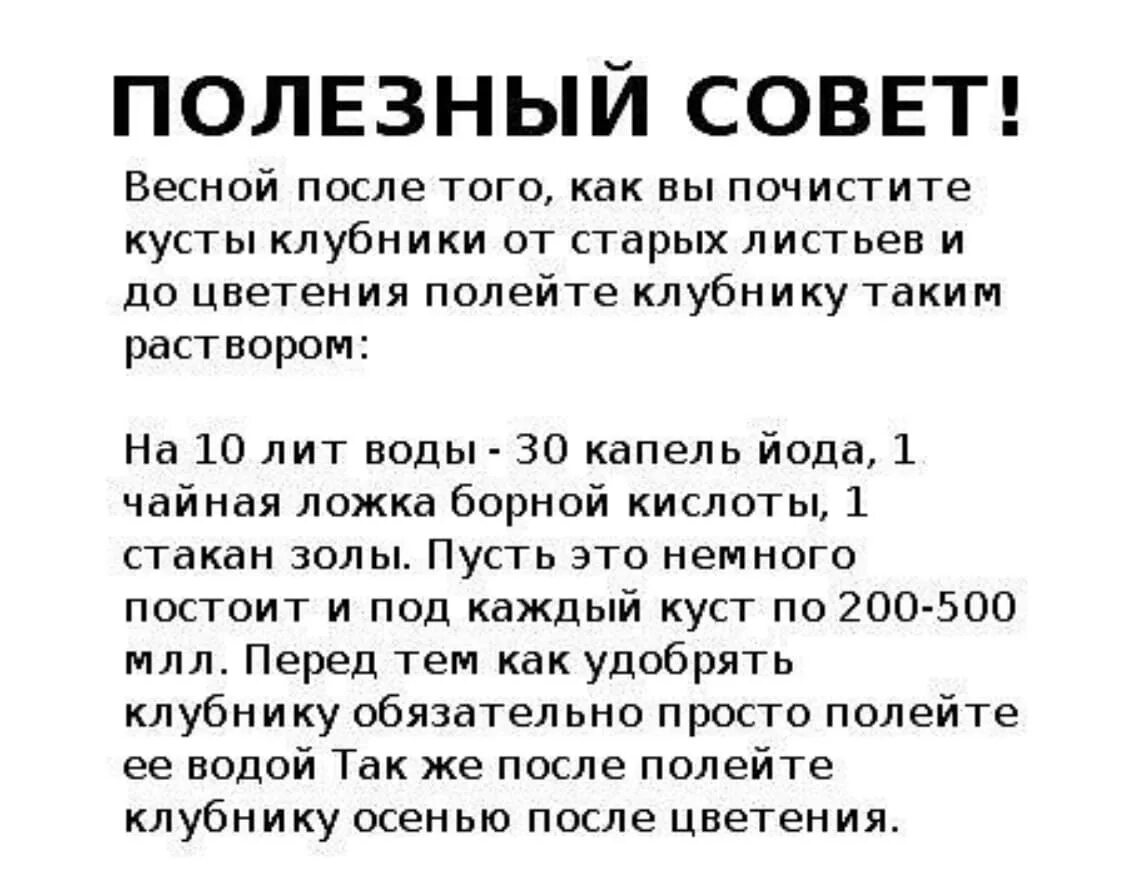 Обработка клубники йодом. Подкормка клубники борнойкислокой. Подкормка клубники борной кислотой. Подкормка клубники борной кислотой и йодом и марганцовкой. Полезные советы для огорода.