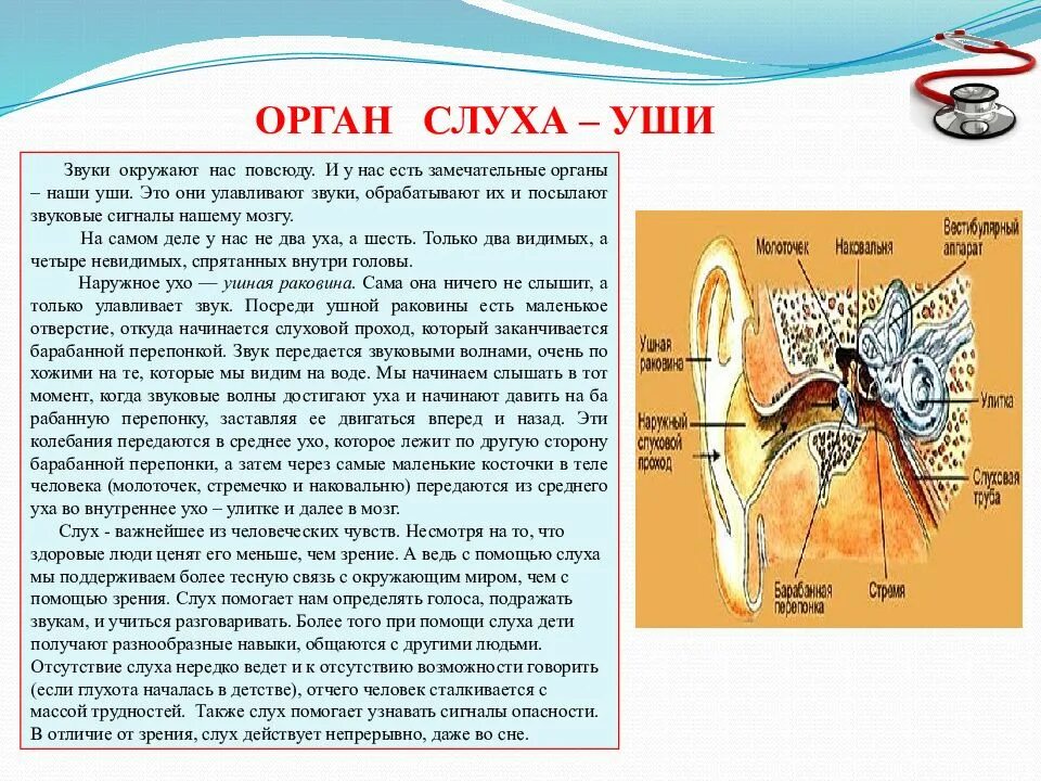 Органы чувств 3 класс. Система органов чувств человека. Сообщение на тему органы чувств. Сообщение на тему органы чувств. Оиганы чувства человека.