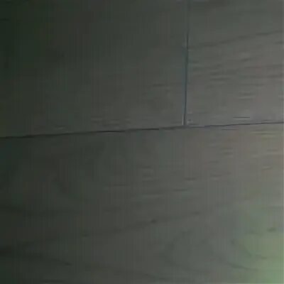 Сильвер джек ореховый