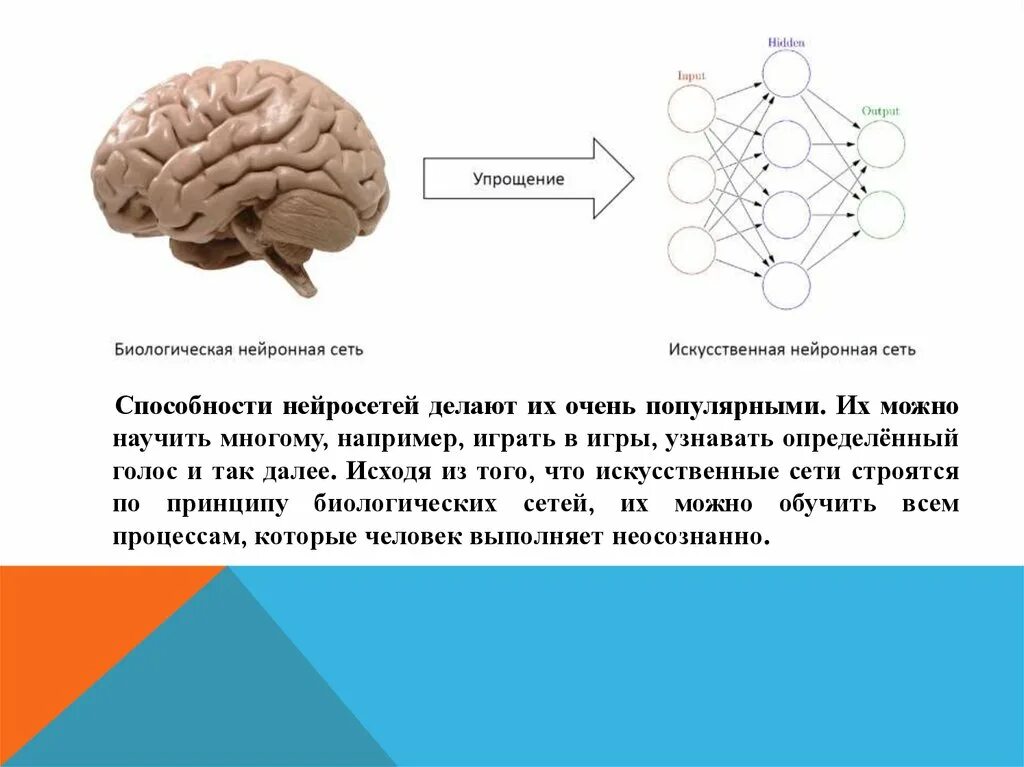 Принцип нейросети. Презентация на тему нейронные сети. Структура нейронной сети. Искусственная нейронная сеть.