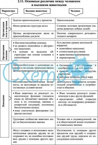 Основные различия между. Общее и различия между человеком и животным. Различие между человеком и высшим животным. Общее и различия между человеком и животным схема. Разница между человеком и животным философия.