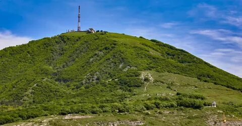 Горе на горе машук