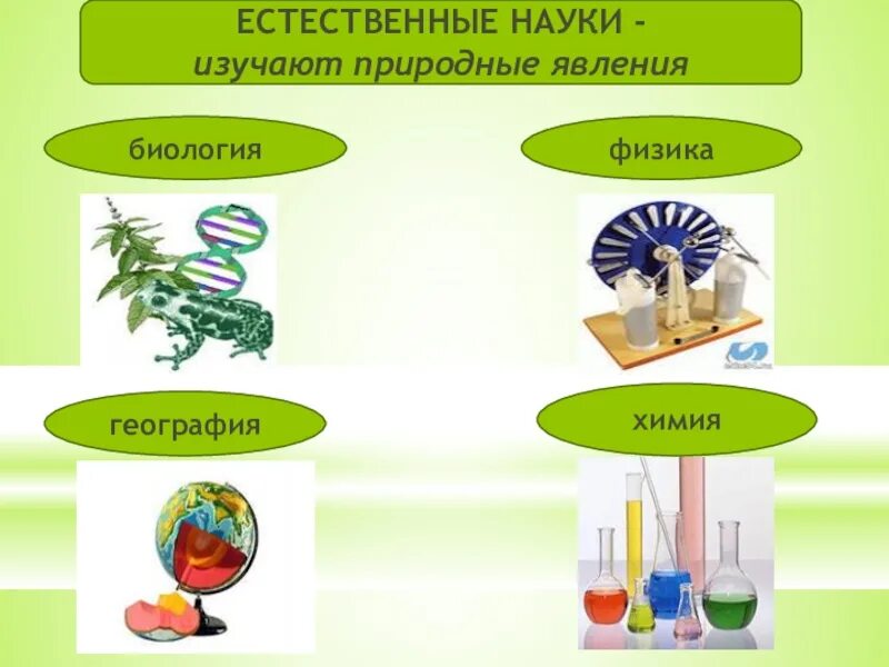 Биология география ответы. Естественные науки. Естественные науки химия биология физика. Физика химия биология география. Естественный.