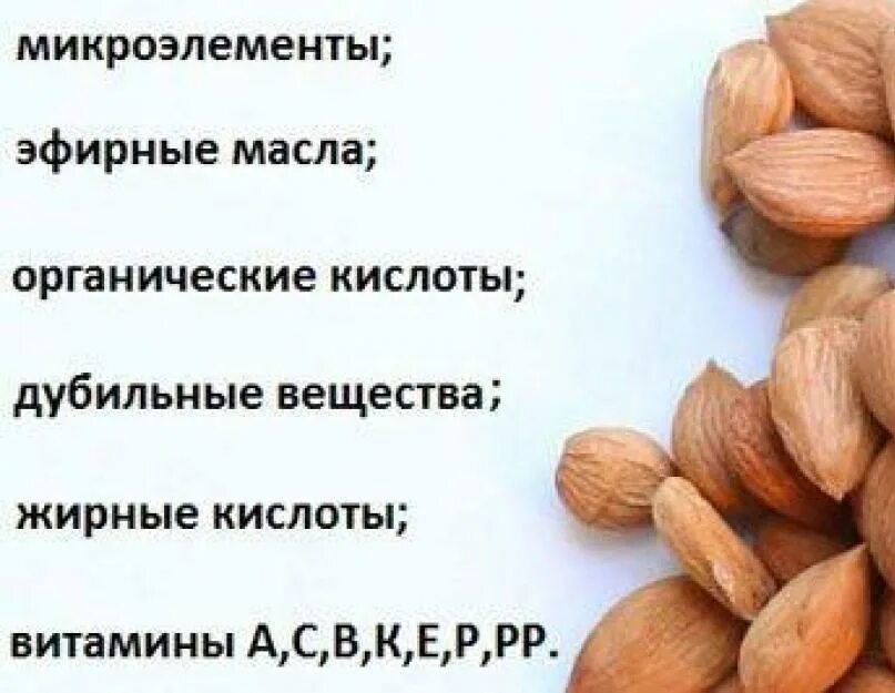 Ядра абрикосовых косточек вред. Ядро абрикосовой косточки. Семена абрикоса. Ядра косточек абрикоса. Косточки от абрикосов.