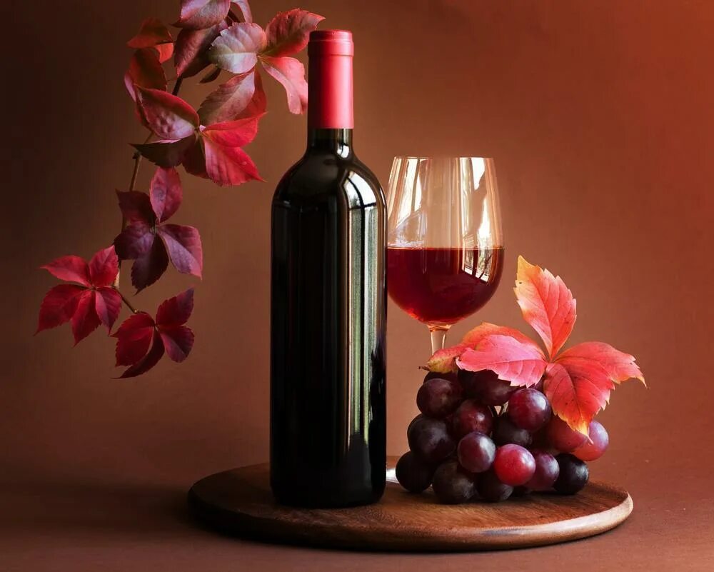 Вино красивые фото. Вино красиво. Бутылка вина и бокал. Вино с веточкой. Вино jpg.