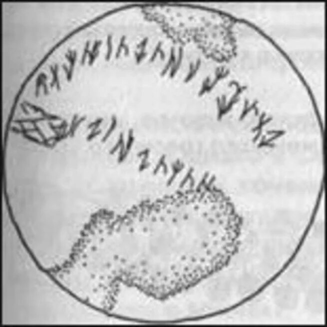 Иссыкская письменность. Иссыкский курган письменность. Курган иссык серебряная чаша. Расшифровка надписей иссыкской чаши. Иссыкская письменность.