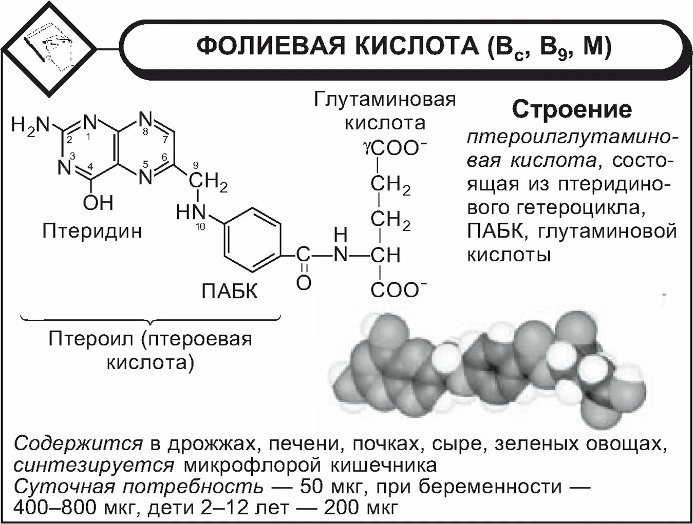 Количество фолиевой