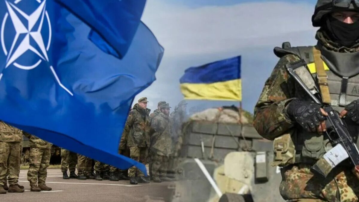 Украина НАТО. Украинский кризис. Генштаб украины потери россии