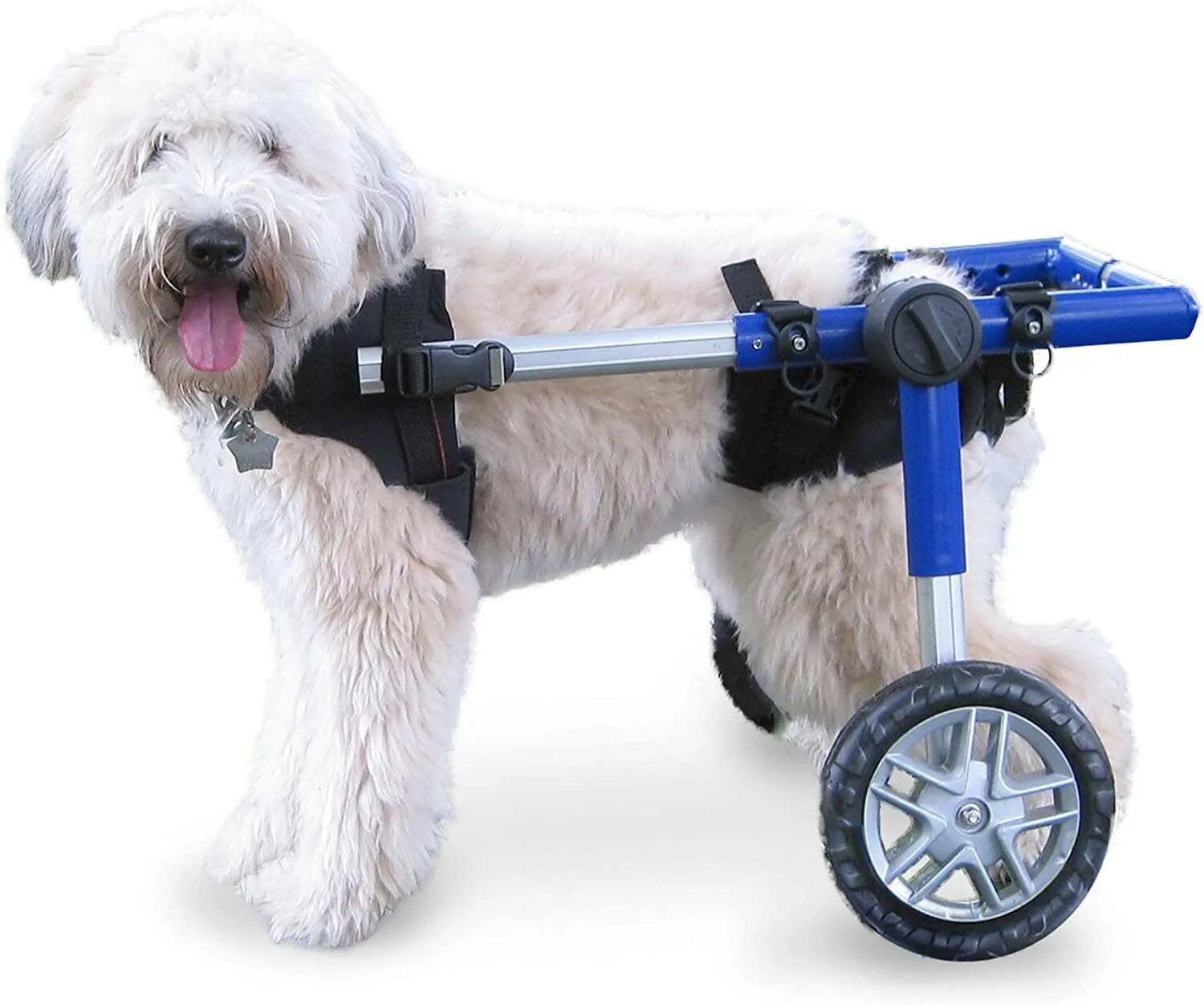 Коляска для собак инвалидов. Инвалидная коляска для собак walkin wheels. инвалидные коляски dog wheelchairs. коляска для собак walkin&#039; wheels. коляска triol для собак инвалидов.