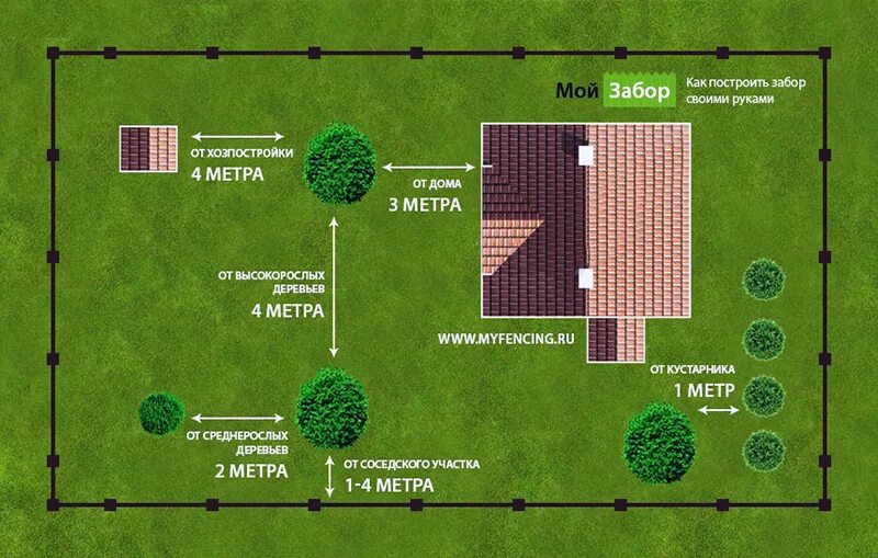 25 метров ответ участок. Посадка деревьев от забора соседей нормативы. Нормы посадок деревьев и кустарников на дачных участках. Нормы посадки плодовых деревьев от забора. Планировка участка дом спереди нормы 3 метра от забора.