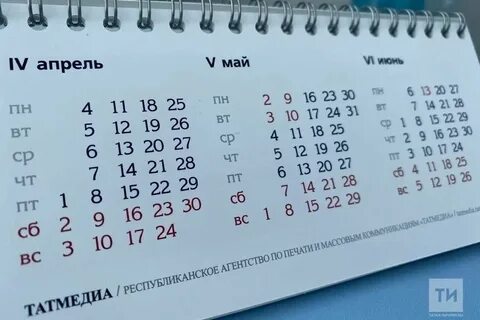 Праздники в ноябре в татарстане 2024 год